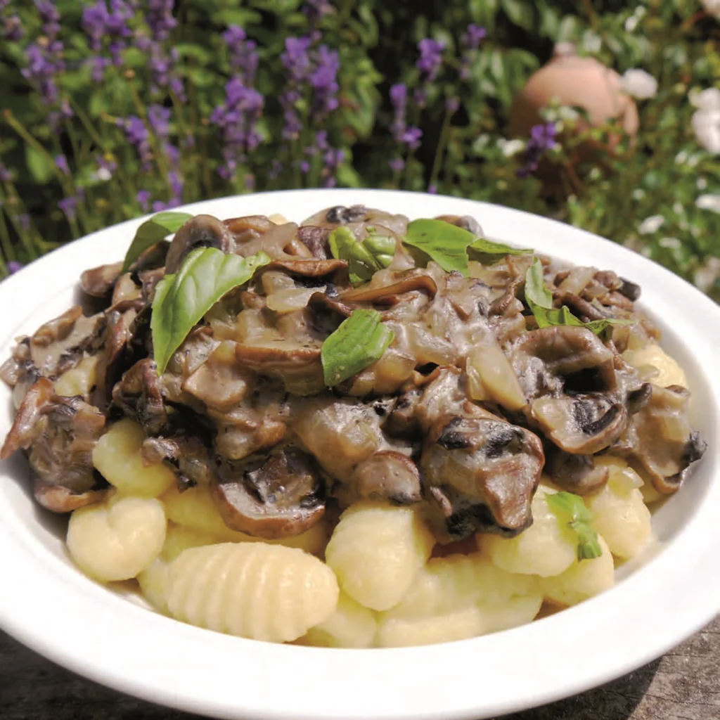 Beitragsbild Gnocchi in Champignon-Steinpilz-Soße