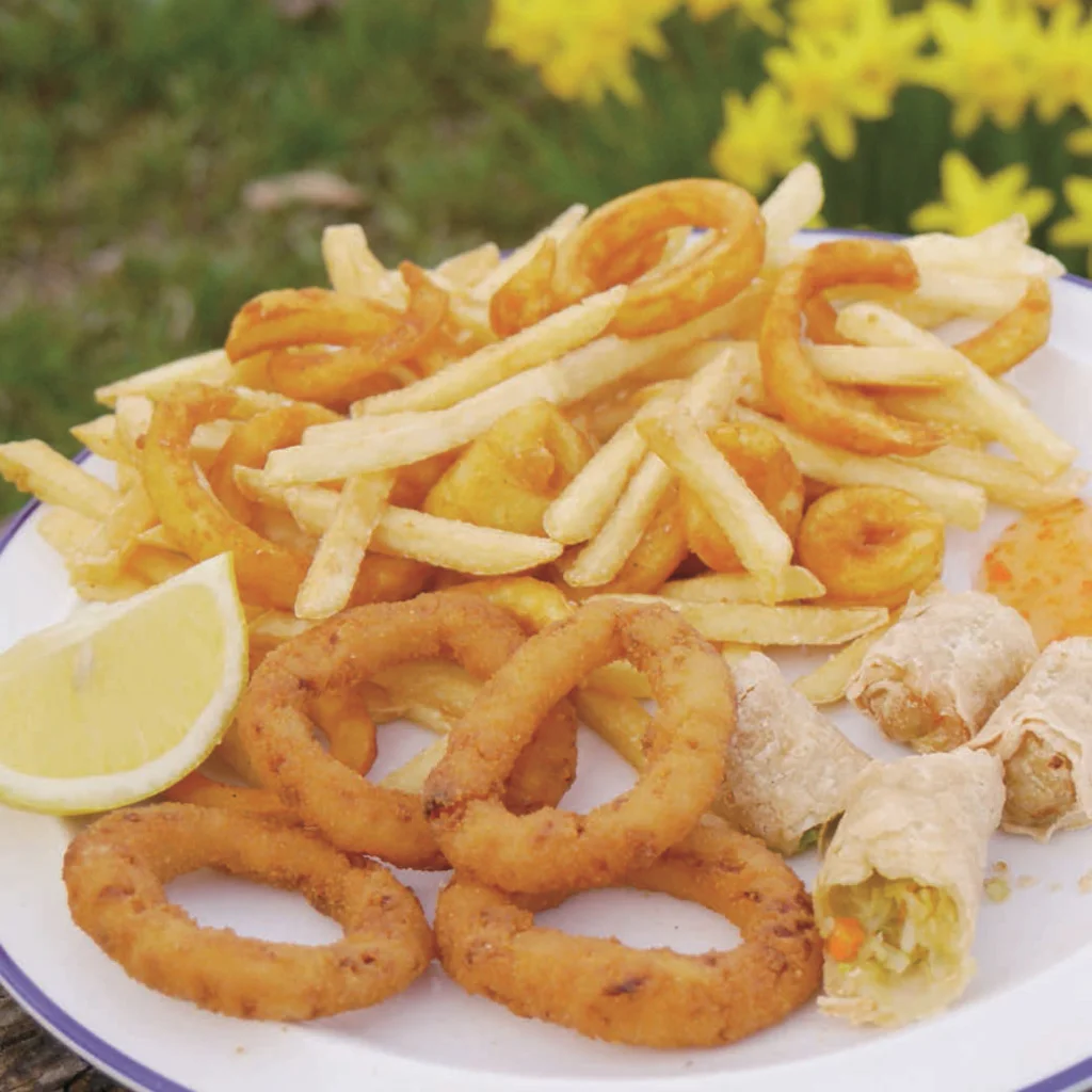 Beitragsbild Panierte Zwiebelringe & Frühlingsrollen mit Pommes