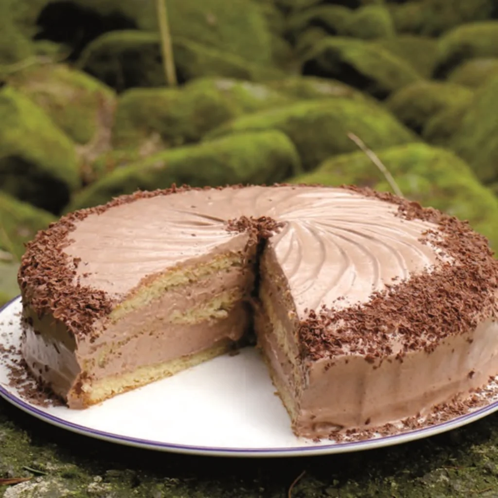 Beitragsbild Schoko-Torte